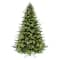 7.5 ft. Pre-Lit Chatham Fir Artificial Christmas Tree, Dual-Color LED Lights